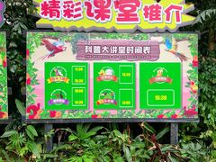 -广州长隆飞鸟乐园
