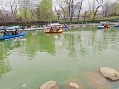 -莲湖公园