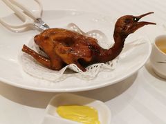 -金汇酒楼(中山东区店)