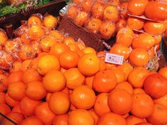 -超级物种(省府店)
