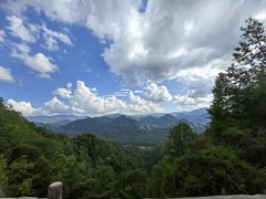 -黑河国家森林公园