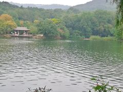 -紫霞湖公园