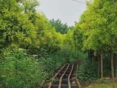 -紫颐香薰山谷景区