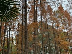 -苏州河梦清园环保主题公园