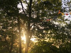 -天台山赤城山景区