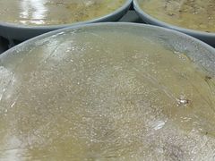 -久宴·天目湖大鱼头(恐龙园店)