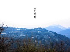 -中国茶叶博物馆(双峰馆区)