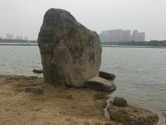 -九鼎轩脆毛肚火锅(商业街店)
