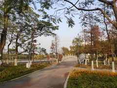-映月湖公园