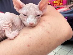 -铜锣湾国际购物中心