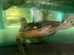 -北国之春国宴(乌兰察布店)