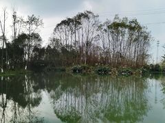 -桤木河湿地公园