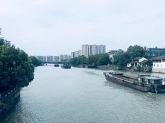 -运河游船(武林门码头)