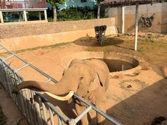 -西霞口神雕山野生动物世界