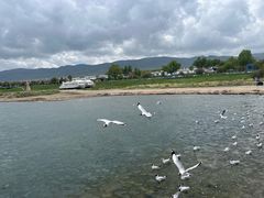 -青海湖国家重点风景名胜区