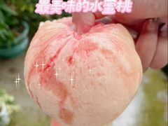 -老袁家蜜桃农场·阳山水蜜桃