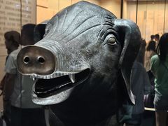 -广西壮族自治区博物馆