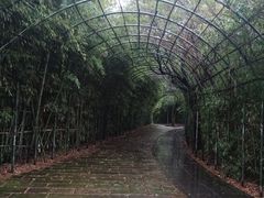 -东海大峡谷