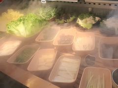-牛New寿喜烧(金鹰世界店)