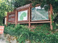 -千岛湖天屿景区