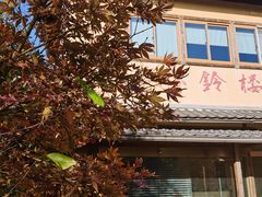 -长广溪湿地公园