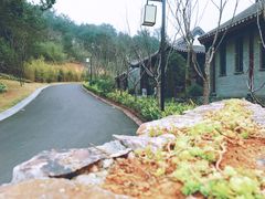 -天目湖涵田半山温泉