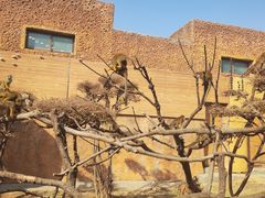 -济南野生动物世界