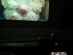 -枫花园汽车电影院(朝阳公园店)