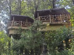 -林栖谷森林康养度假区