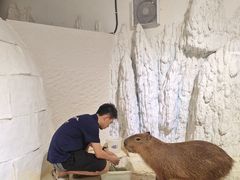 -重庆欢乐海底世界