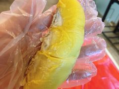 -都念榴莲·城市榴莲