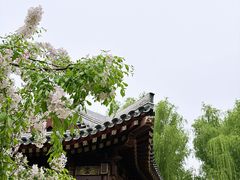 -元大都城垣遗址公园