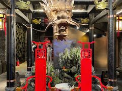 -小龙翻大江文化火锅(宽窄店)