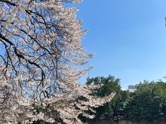 -成都市活水公园
