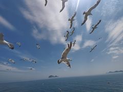 -海驴岛(荣成市)