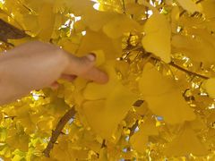 -水库活鱼馆(于桥水库店)