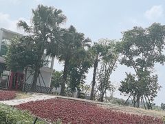 -空港花田景区