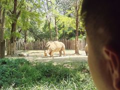 -北京野生动物园