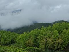 -江南天池