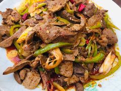 -清真·益鑫羊肉手抓馆(花园北街店)