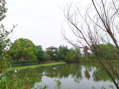 -长兴太湖图影湿地文化园