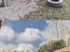 -上海野生动物园
