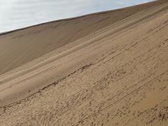 -达拉特旗响沙湾旅游区