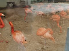 -秦皇岛野生动物园