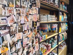 -欣宠猫屋·矮脚拿破仑·蓝金金渐层