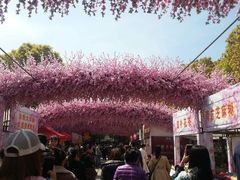 -南汇桃花村