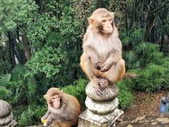 -苏州上方山国家森林公园