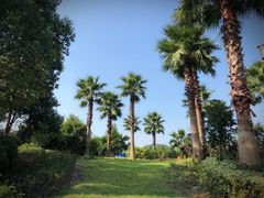 -宁波九龙湖开元度假村