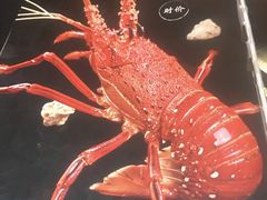 -渔日本料理铁板烧(新天地假日广场店)