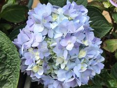 -聚·咖啡(南国奥园店)